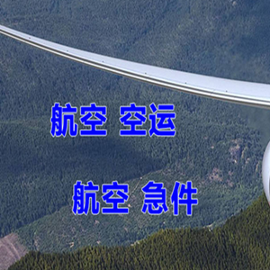 大武航空托运快递-选东方航空和上海航空
